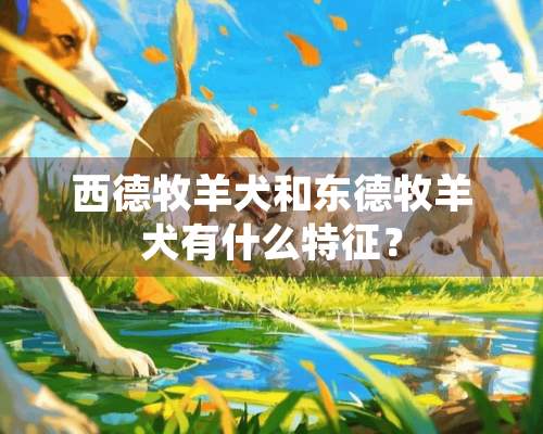 西德牧羊犬和东德牧羊犬有什么特征？