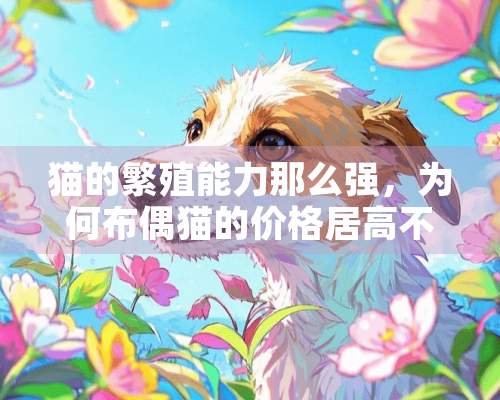 猫的繁殖能力那么强，为何布偶猫的价格居高不下