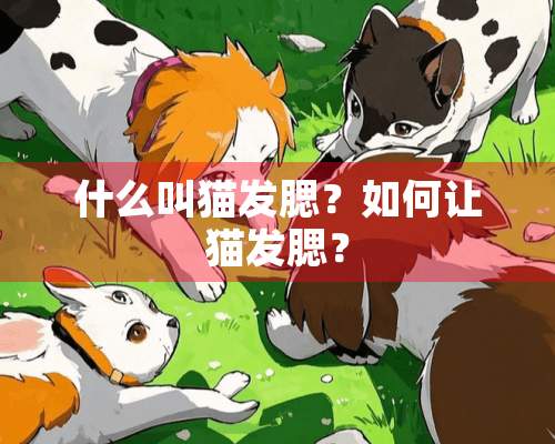 什么叫猫发腮？如何让猫发腮？