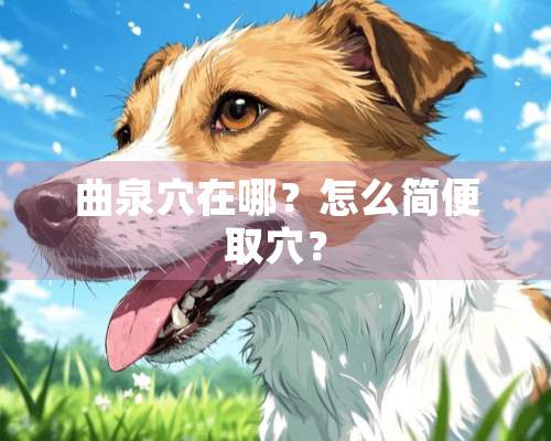 曲泉*在哪？怎么简便取*？