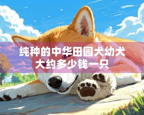 纯种的中华田园犬幼犬大约多少钱一只