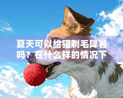 夏天可以给猫剃毛降暑吗？在什么样的情况下可以给猫剃毛？