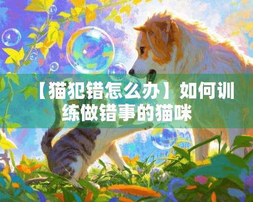 【猫犯错怎么办】如何训练做错事的猫咪