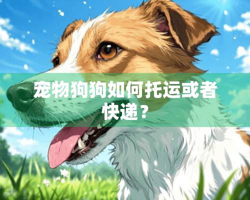 宠物狗狗如何托运或者快递？