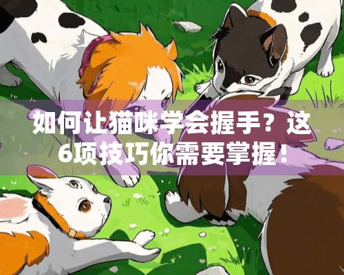 如何让猫咪学会握手？这6项技巧你需要掌握！