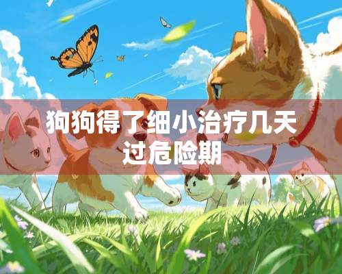 狗狗得了细小治疗几天过危险期