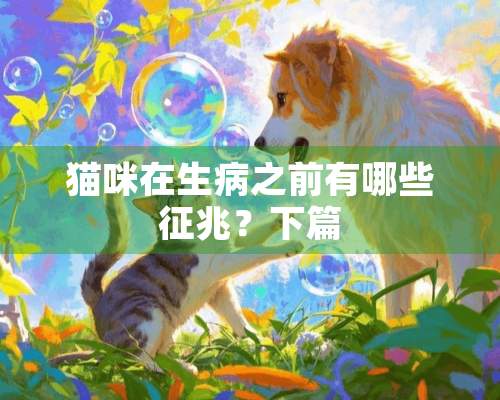 猫咪在生病之前有哪些征兆？下篇