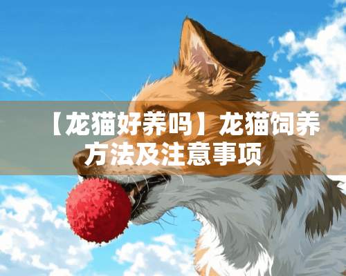 【龙猫好养吗】龙猫饲养方法及注意事项