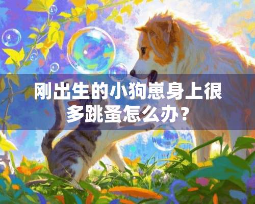 刚出生的小狗崽身上很多跳蚤怎么办？