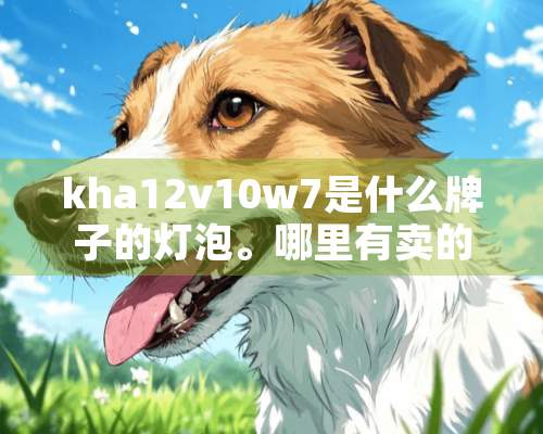 kha12v10w7是什么牌子的灯泡。哪里有卖的？