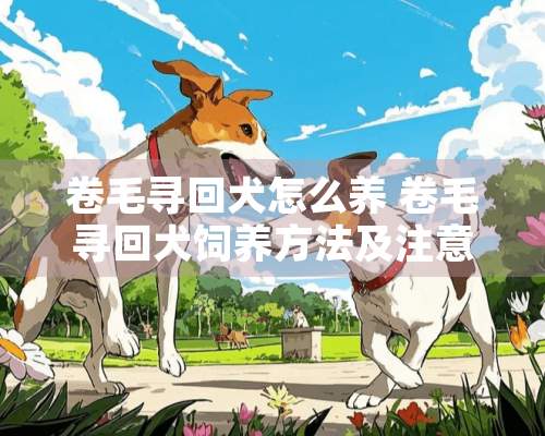 卷毛寻回犬怎么养 卷毛寻回犬饲养方法及注意事项