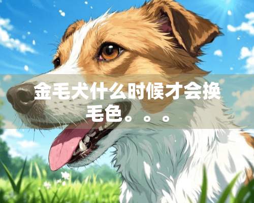 金毛犬什么时候才会换毛色。。。