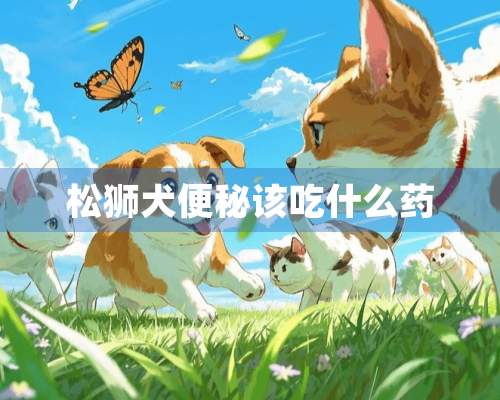 松狮犬便秘该吃什么药