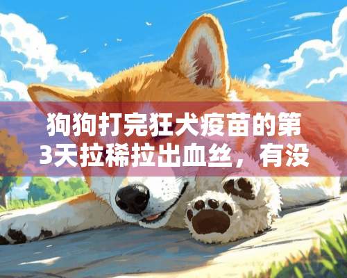 狗狗打完狂犬**的第3天拉稀拉出血丝，有没有事？能不能吃药？