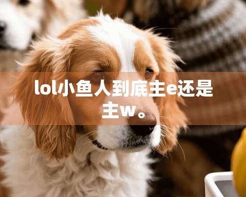 lol小鱼人到底主e还是主w。