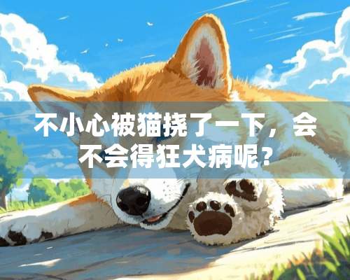 不小心被猫挠了一下，会不会得狂犬病呢？