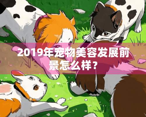 2019年宠物美容发展前景怎么样？