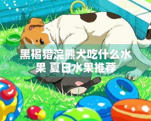 黑褐猎浣熊犬吃什么水果 夏日水果推荐