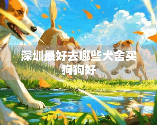 深圳最好去哪些犬舍买狗狗好