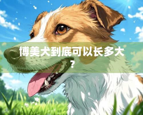 博美犬到底可以长多大？