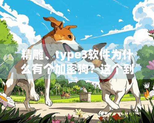 精雕、type3软件为什么有个***？这个到底是什么意思？真不懂，有什么作用，不加又有什么问题？呵呵。