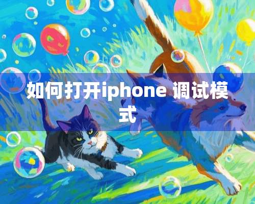 如何打开iphone 调试模式