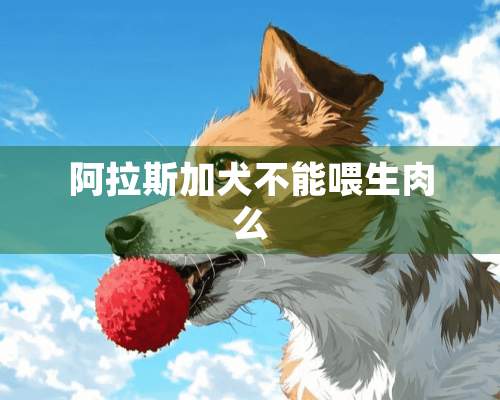 阿拉斯加犬不能喂生肉么