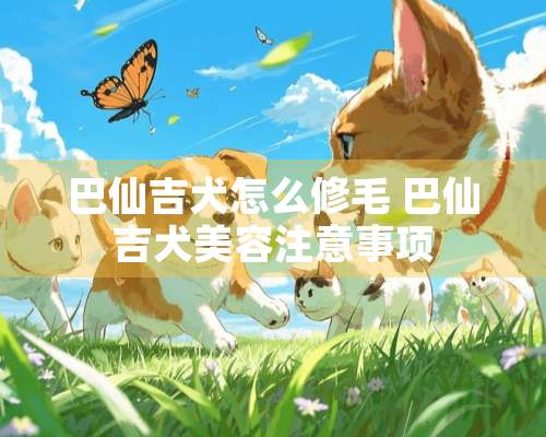 巴仙吉犬怎么修毛 巴仙吉犬美容注意事项