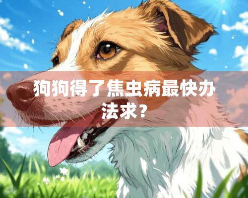 狗狗得了焦虫病最快办法求？