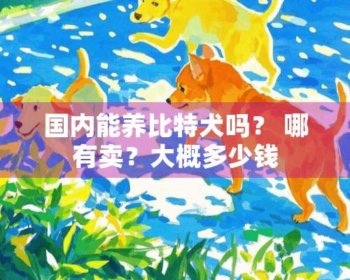 国内能养比特犬吗？ 哪有卖？大概多少钱