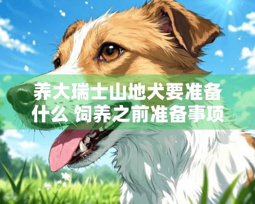 养大瑞士山地犬要准备什么 饲养之前准备事项