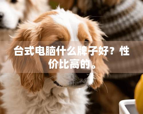 台式电脑什么牌子好？性价比高的。