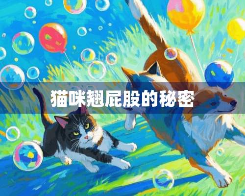 猫咪翘**的秘密