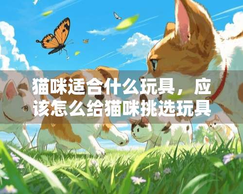 猫咪适合什么玩具，应该怎么给猫咪挑选玩具？