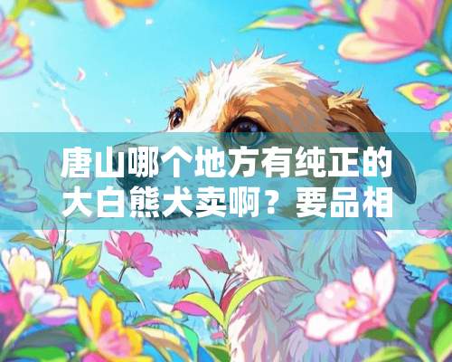 唐山哪个地方有纯正的大白熊犬卖啊？要品相好的？