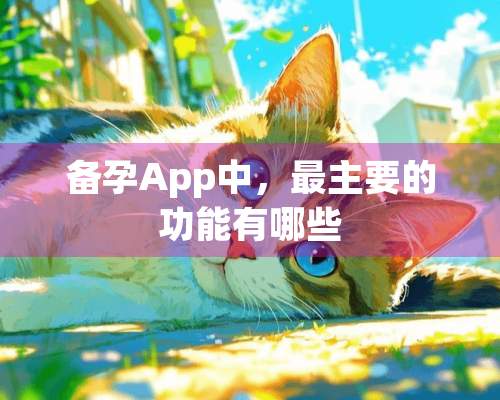 备孕App中，最主要的功能有哪些