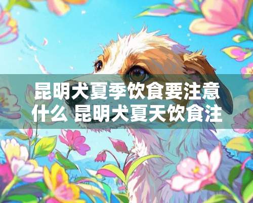 昆明犬夏季饮食要注意什么 昆明犬夏天饮食注意事项