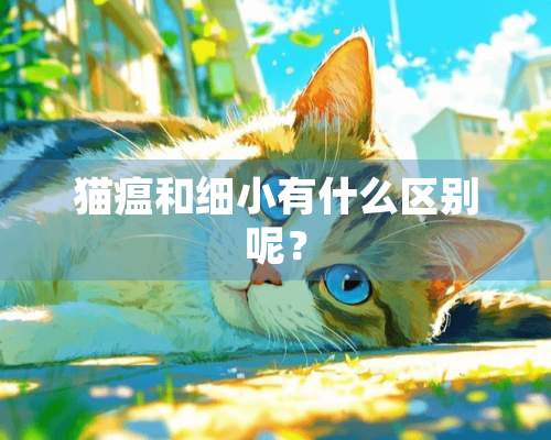 猫瘟和细小有什么区别呢？