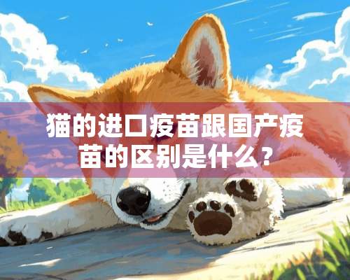 猫的进口**跟国产**的区别是什么？