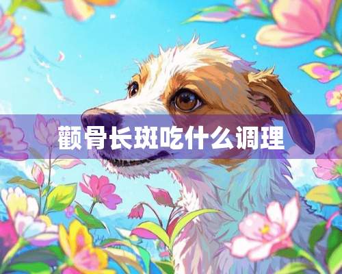 颧骨长斑吃什么调理