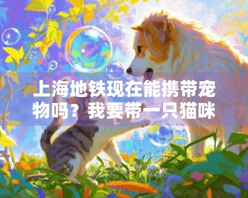 上海地铁现在能携带宠物吗？我要带一只猫咪，放在航空箱里可以吗？