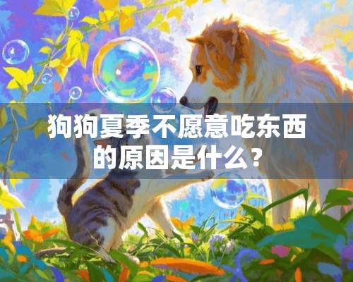 狗狗夏季不愿意吃东西的原因是什么？