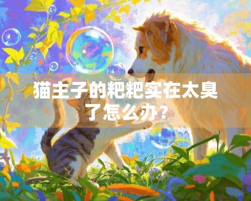 猫主子的粑粑实在太臭了怎么办？