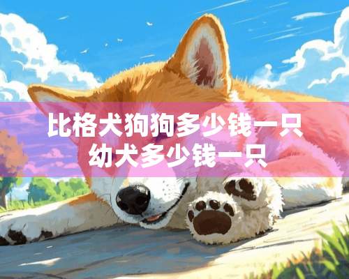 比格犬狗狗多少钱一只 幼犬多少钱一只