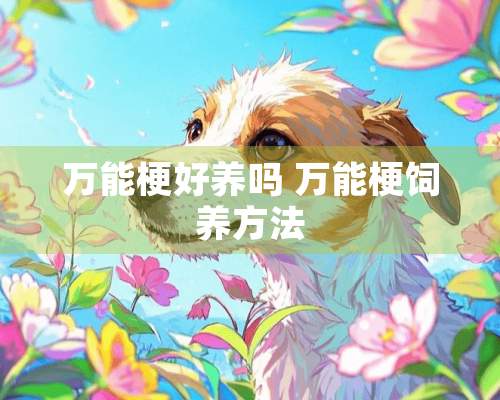 万能梗好养吗 万能梗饲养方法