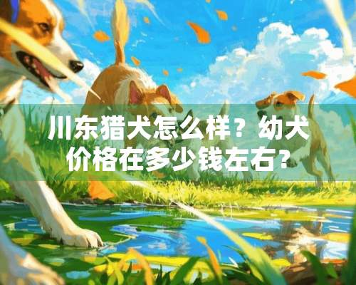 川东猎犬怎么样？幼犬价格在多少钱左右？