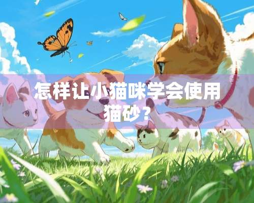 怎样让小猫咪学会使用猫砂？