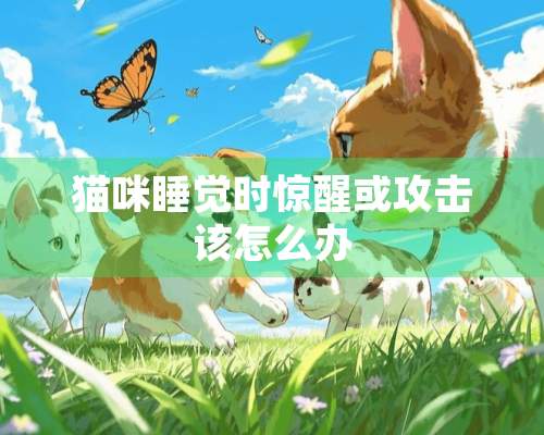 猫咪睡觉时惊醒或攻击该怎么办