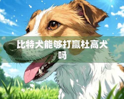 比特犬能够打赢杜高犬吗