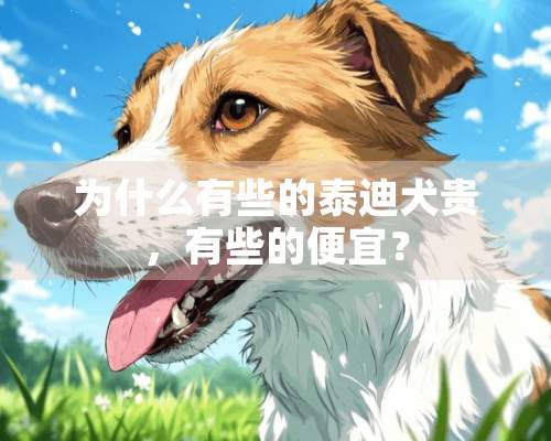 为什么有些的泰迪犬贵，有些的便宜？